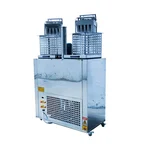 Commercial Stainless Steel 2 Mould Kulfi Making Machine